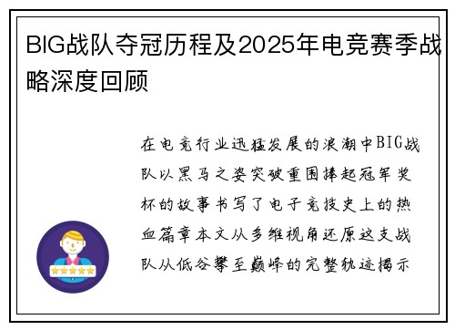 BIG战队夺冠历程及2025年电竞赛季战略深度回顾